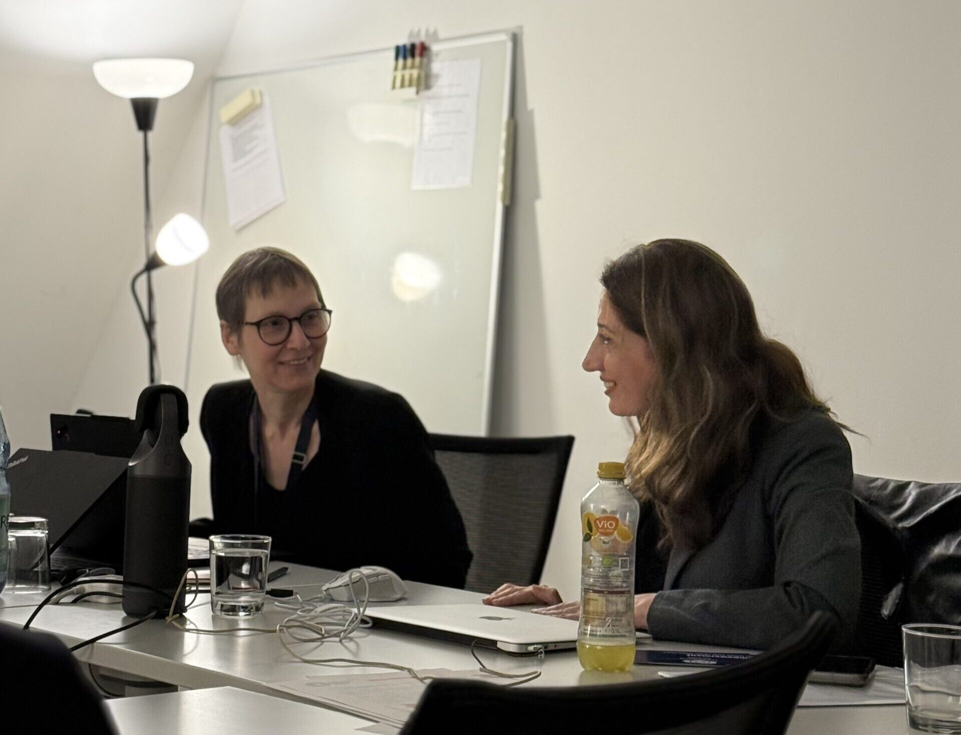 Afrooz Maghzi and Eva Pils talking